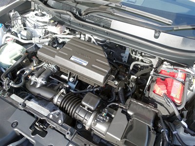 2019 Honda CR-V - Thumbnail